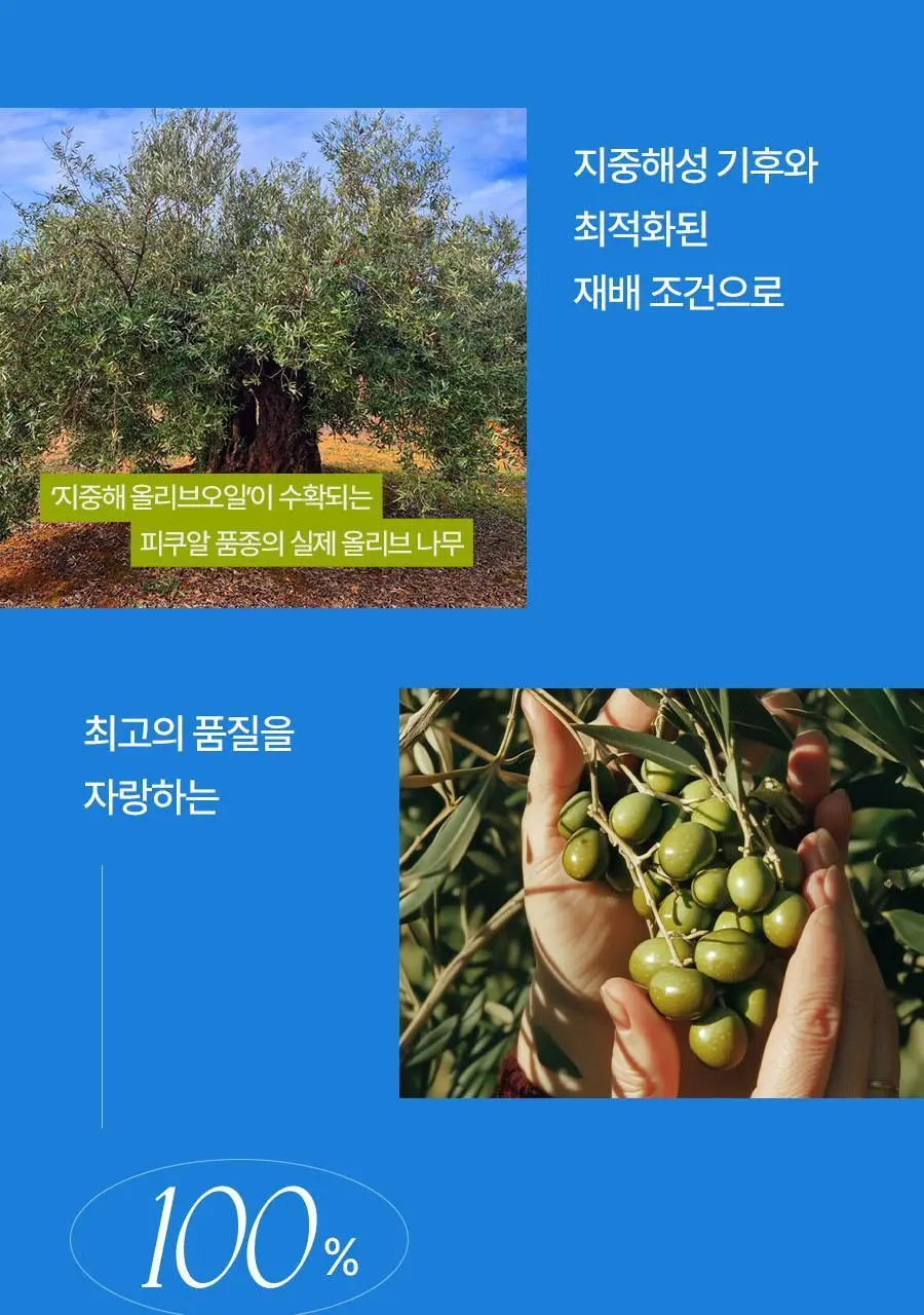 [헬로키티콜라보] 푸드올로지 지중해 올리브오일 캡슐 10포 기획(+파우치증정)/30포 상세페이지 22